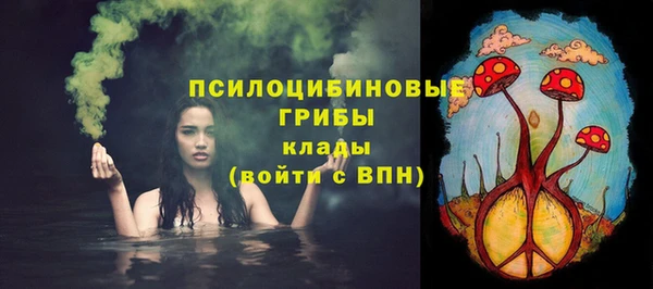 прущая мука Арсеньев