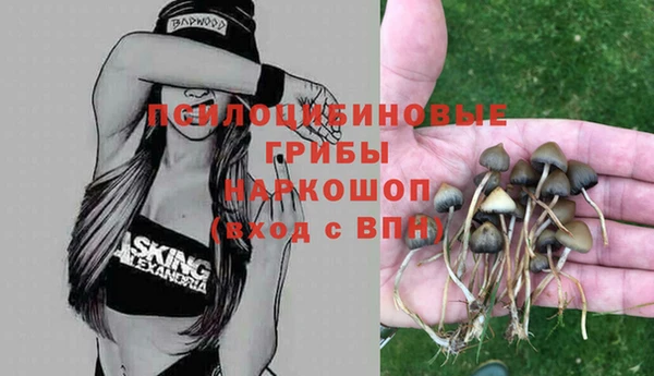 марки nbome Аркадак